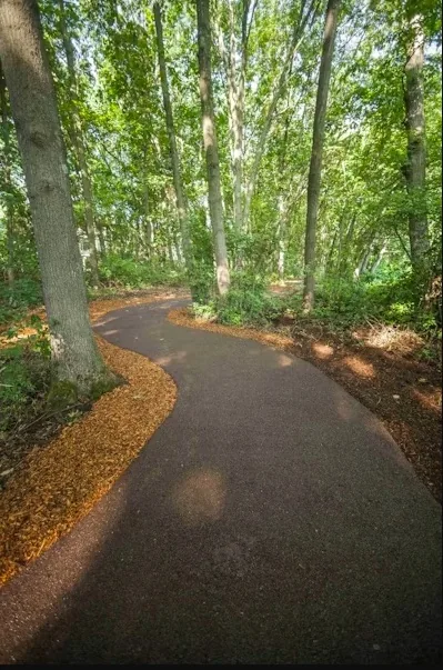 Smooth asphalt walking path winding through wooded parkland with wood-chip edging, an example of walkway paving in Spokane, WA